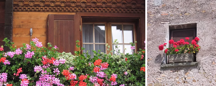 Rustic Italian window with open wooden shutters and a vibrant flower box overflowing with red and pink blooms on a white stucco building.